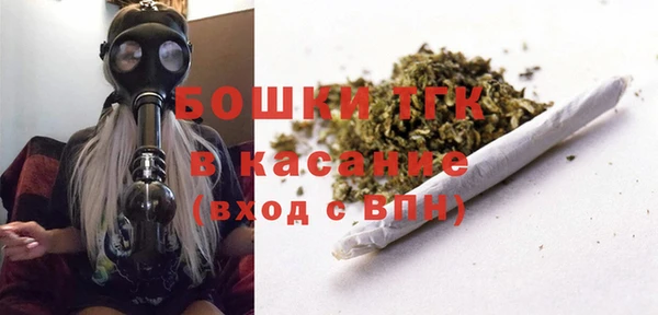 молекула духа Балахна