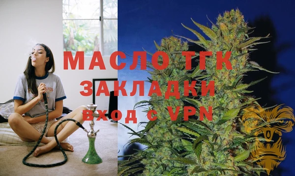 молекула духа Балахна