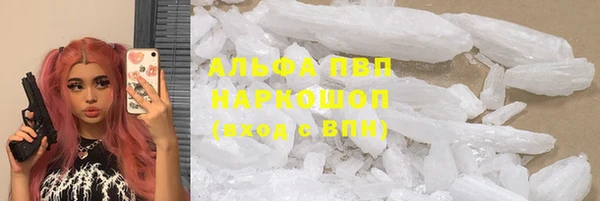 молекула духа Балахна