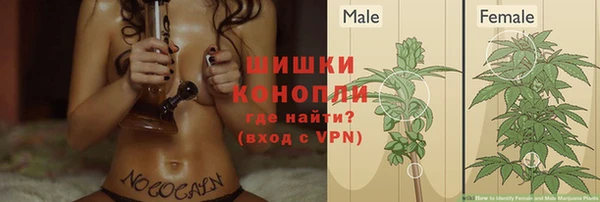 молекула духа Балахна