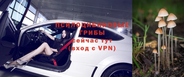 молекула духа Балахна
